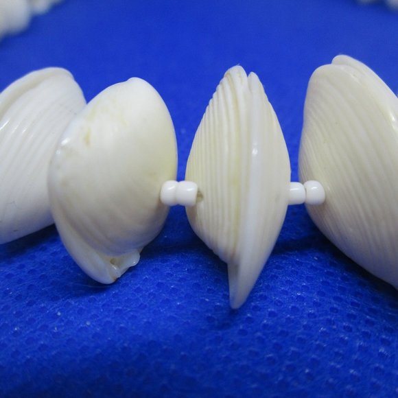 Seashell Necklace Seashell Choker Necklace Genuine Seashell & Glass Seed Beaded - Picture 4 of 8